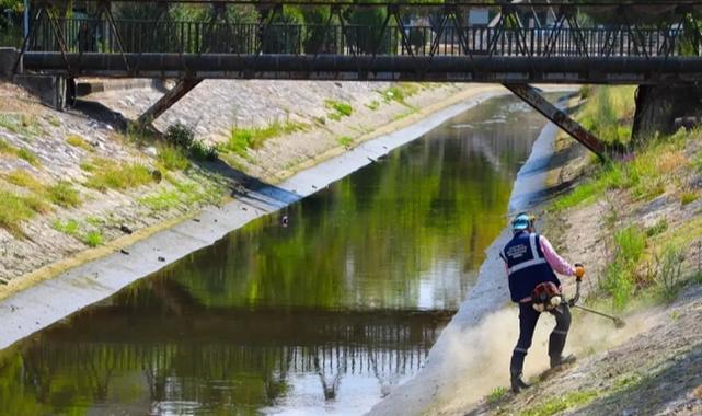 Sakarya'da Çark Deresi'nin çevresi temizleniyor