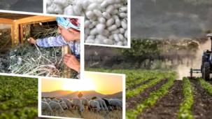 406,6 milyon TL'lik tarımsal desteklemeler hesaplarda