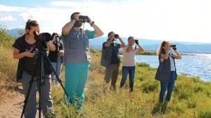 İzmit Körfezi'nin pembe süsleri geldi