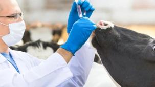 Tarım-GFE'de en yüksek değişim veteriner harcamalarında