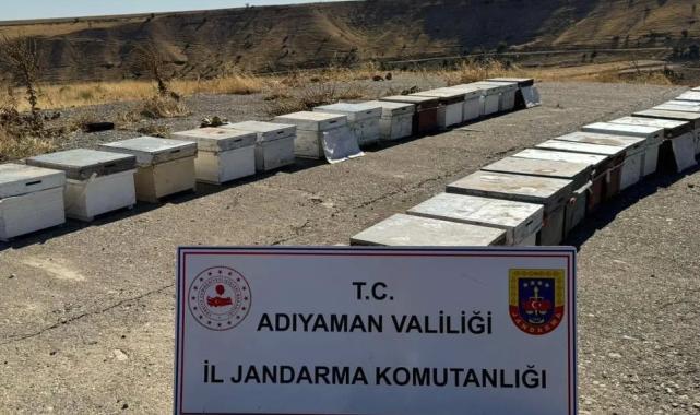 Adıyaman'da arı kovanlarını çalan şahıs yakalandı!