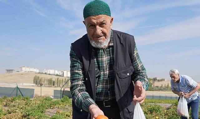 Bostanın Son Hasadı Huzurevi Sakinlerinden