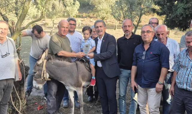 Bursa Gemlik'te festivalin renkli ismine ziyaret