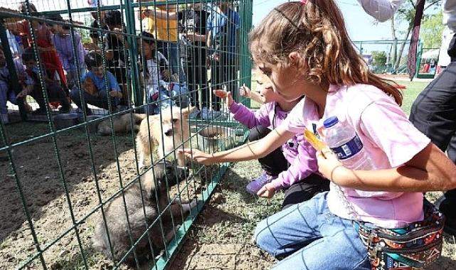 Hayvanları Koruma Gününe Renkli Kutlama
