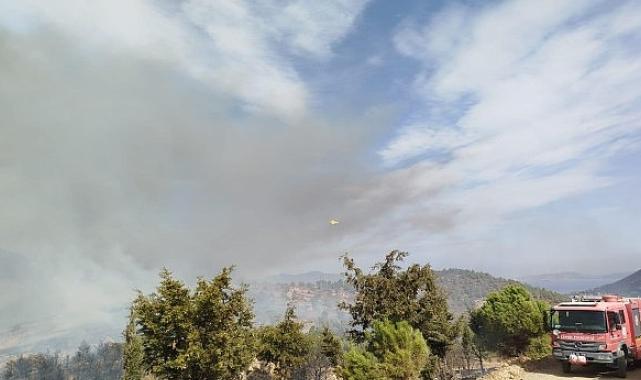 İzmir Büyükşehir Belediyesi ekipleri Foça'daki yangına müdahaleyi sürdürüyor