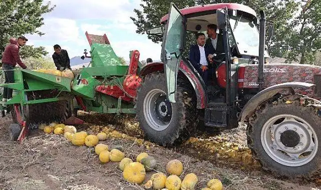 Nevşehir Belediyesi 1. Kabak Çekirdeği Festivali yapıldı.