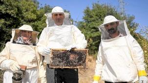 Bornova'da bal gibi proje