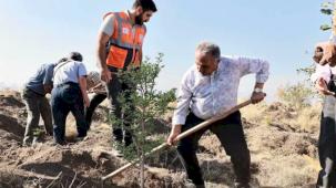 “Diktiginiz fidanlar dünyaya iyilik olarak yansıyacak”