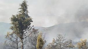 Foça yangını kontrol altına alındı