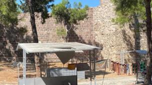 İzmir'de Kadifekale turisti kaçırıyor! Pagos Üretici Pazarı can çekişiyor