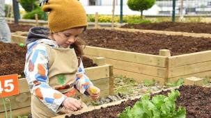 Kadıköy Bostanları'nda Kış Dönemi Başvuruları Başladı