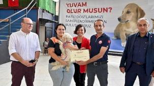 Karabağlar patili dostlar için buluşuyor