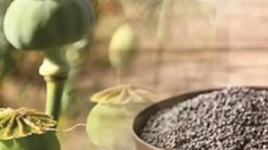 Mavi renkli haşhaş tohumları gıda amaçlı satışta