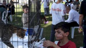Nilüfer'de can dostlar yeni yuvalarına kavuşuyor