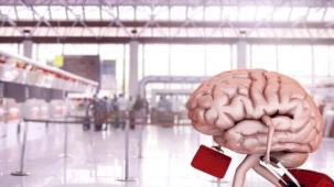 Türkiye'de beyin göçü alarm veriyor!