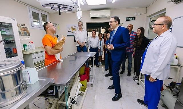 Yiğit: