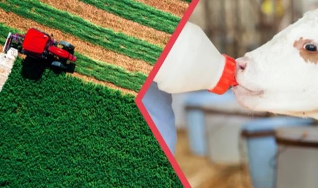 112 milyon TL'lik tarımsal destekler hesaplarda