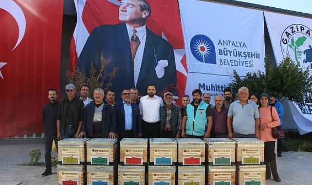 Büyükşehir'den Gazipaşalı arıcılara kovan desteği