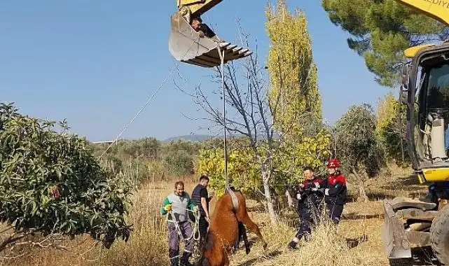 Kemalpaşa Ulucak Mahallesi'nde su kuyusuna düşen yılkı atı, ekiplerin yoğun çalışmaları sonucu kurtarıldı
