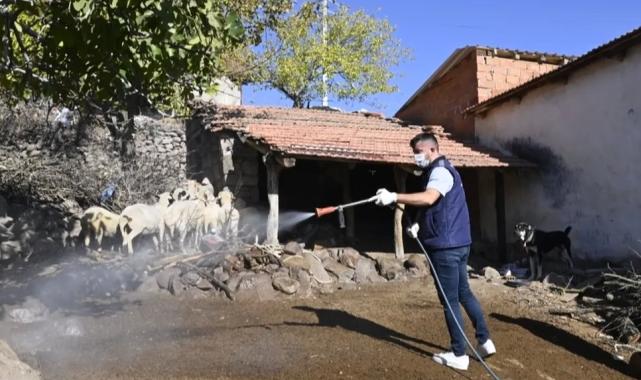 Manisa'da mavi dil hastalığıyla mücadele kapsamında 111 mahalle ilaçlandı