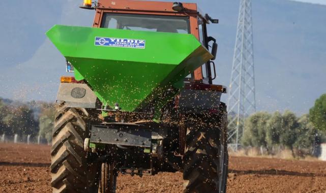 Milas'ta karakılçık buğdayları toprakla buluştu
