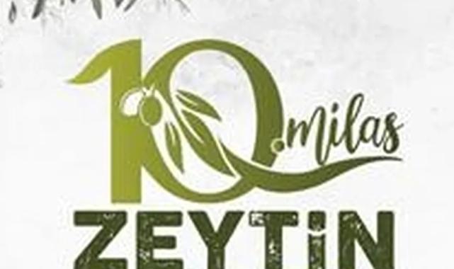Milas'ta zeytin hasat şenliği için geri sayım başladı