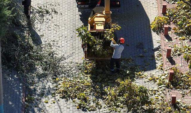 Selçuklu'da Ağaç Budama Çalışmaları Devam Ediyor