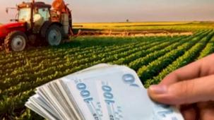 2025 bütçesinde tarıma 706 milyar TL ayrıldı