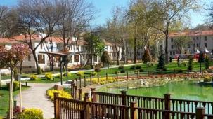 Ankara Kızılay'da 210 anıt ağaç koruma altında... Tarihi doku korunarak yenilendi