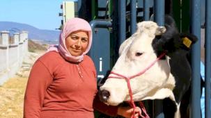 Antalyalı hayvan üreticisine belediyeden destek