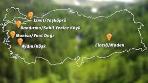 Banvit BRF Ormanları 60 bin ağaca ulaştı