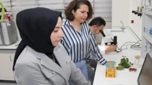 BTÜ'de Diyabet Hastalarına Özel Gıda Kaplaması Geliştirildi