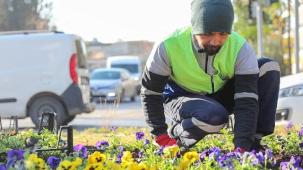Buca'da yeşil doku için yoğun mesai
