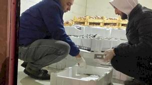 Bursa'da 1,5 ayda 5 ton balığa el konuldu!