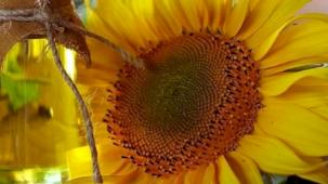 İthalatla üreticiye darbe! Ayçiçeği tohumunda Gümrük Vergisi sıfırlandı