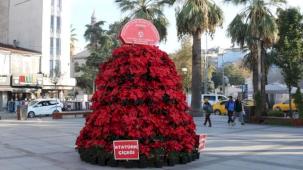 Kocaeli 'Atatürk Çiçeği' ile süsleniyor... Atatürk 1086 Atatürk çiçeği ile anılacak