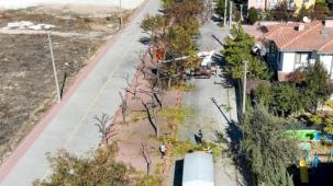 Konya Selçuklu'da ağaçlar budanıyor... Atıklar kompost gübreye dönüştürülüyor