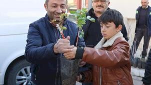 Konya'nın 3 ilçesinde üreticiye Antep Fıstığı desteği