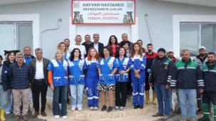 Mardin'in çöpçü eşekleri tarihe karışıyor