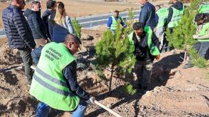 Sivas Belediyesi anlamlı bir çalışmaya imza atarak mevsimlik işçiler adına hatıra ormanı oluşturdu.