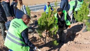 Sivas'ta mevsimlik işçiler adına hatıra ormanı