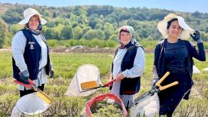 TABİP'te 2024 üretim sezonu tamamlandı