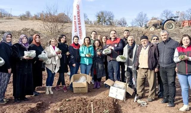 Bursa'da salepe kadın eli değdi
