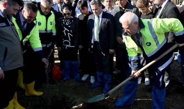 Bursa'da zeytin fidanları toprakla buluştu