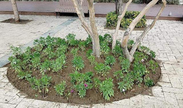Büyükşehir'den Manisa'nın Yeşil Alanlarına Peyzaj Düzenlemesi