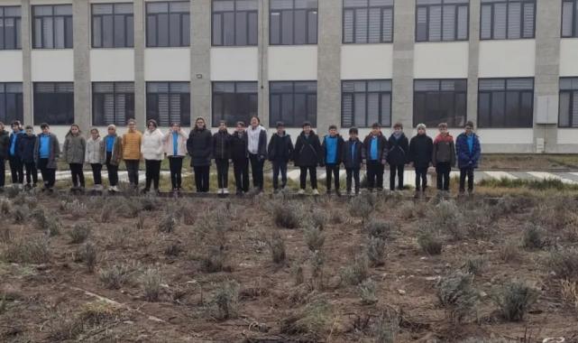 Çankırı'da okul bahçesinde lavanta yetiştiriyorlar