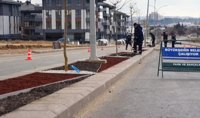 Eskişehir Büyükşehir'den 'kuru peyzaj' çalışması