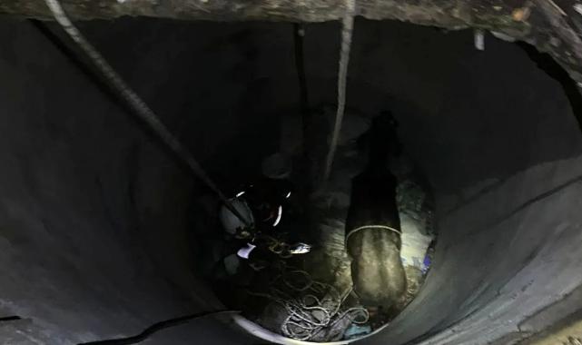 İzmir İtfaiyesi'nden 'buzağı' operasyonu!