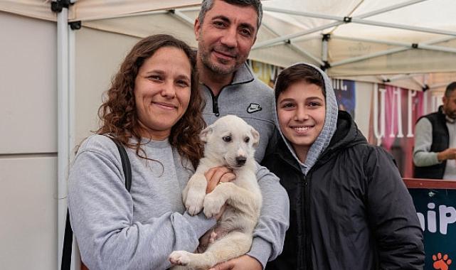 Konak'tan patili dostları sahiplendirme etkinliği: Yeni yıla sıcak yuvalarında girecekler