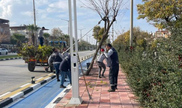 Manisa'da budama çalışmaları sürüyor